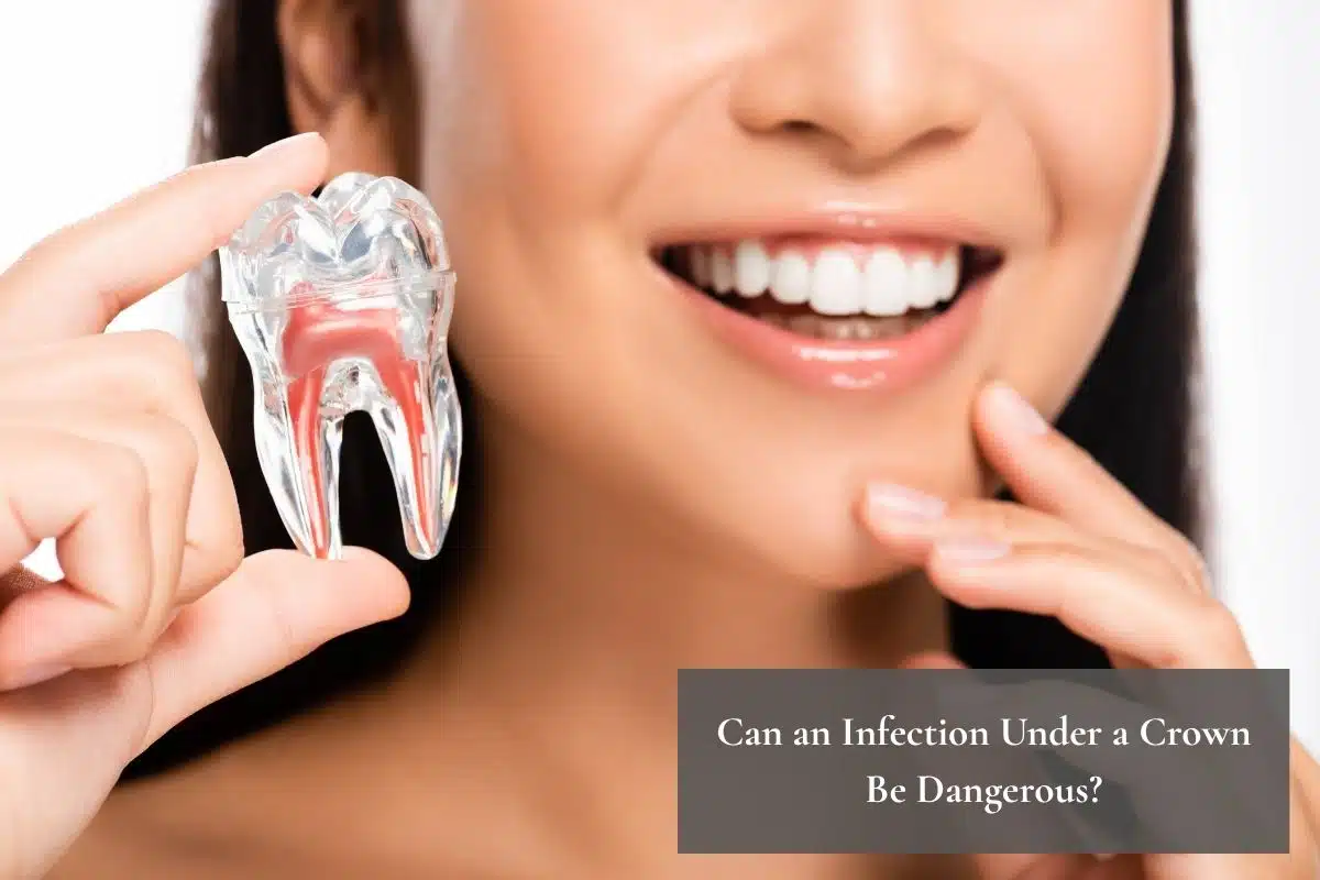 Smiling individual presenting a clear tooth model