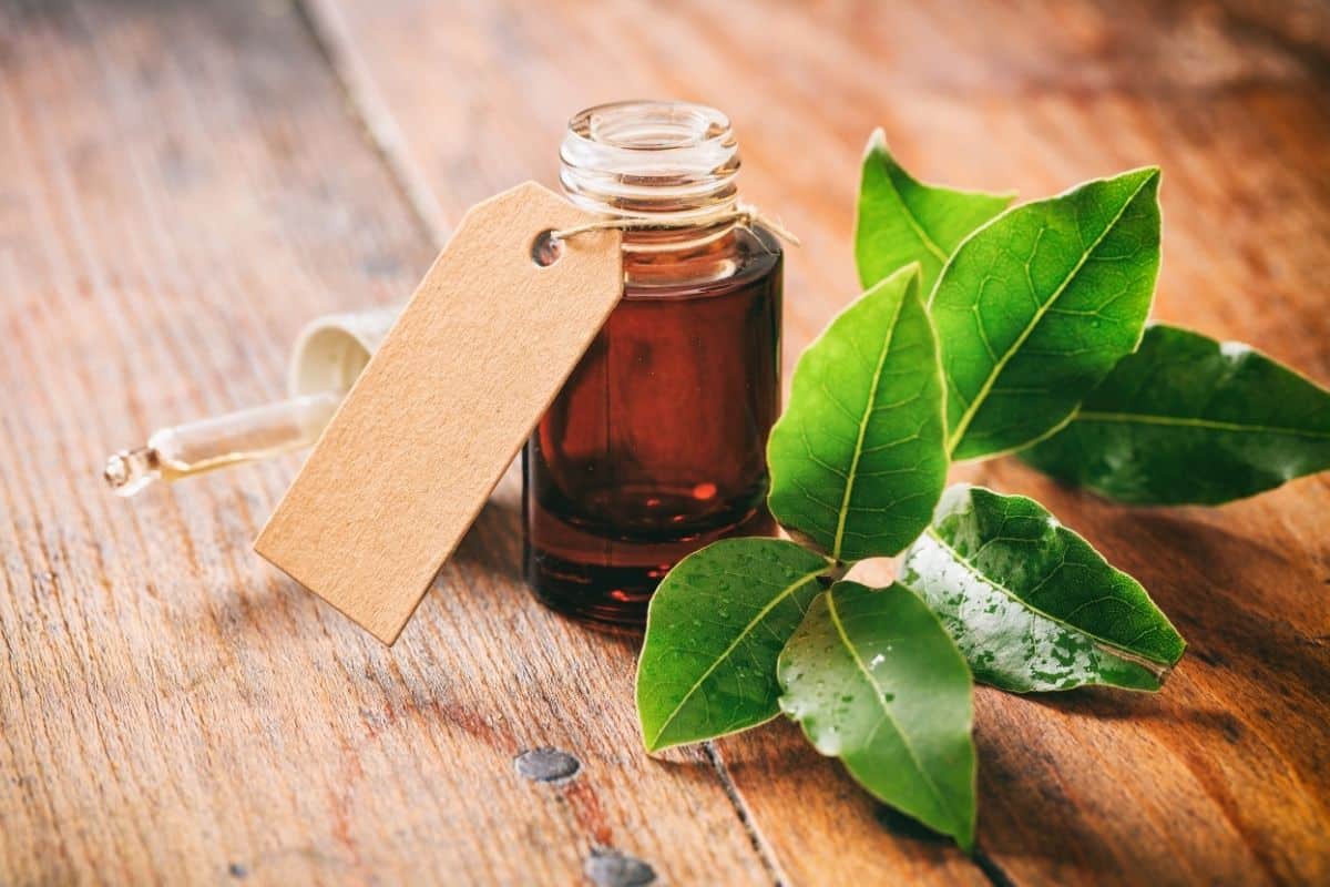 Featured image for “Clove Oil for Kids’ Tooth Pain: Safe or Risky?”